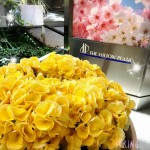 3月花1