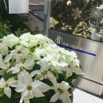 2018年11月緑段